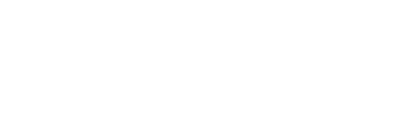 Partner 11