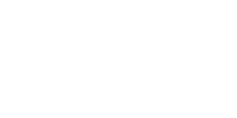 Partner 15