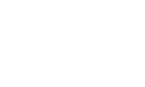 Partner 9